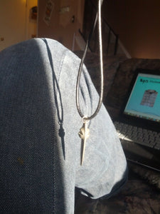 Starship of the Imagination necklace Cosmos